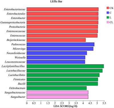 Effects of cellulase and Lactiplantibacillus plantarum on the fermentation quality, microbial diversity, gene function prediction, and in vitro rumen fermentation parameters of Caragana korshinskii silage